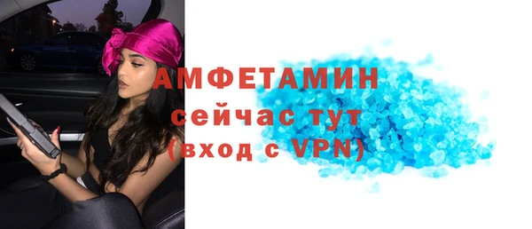 ГАЛЛЮЦИНОГЕННЫЕ ГРИБЫ Фёдоровский