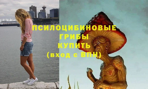 apvp Навашино