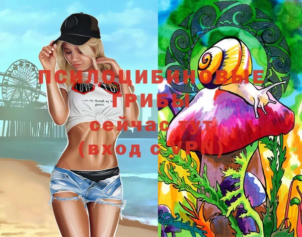 тгк Надым