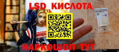 ГАЛЛЮЦИНОГЕННЫЕ ГРИБЫ Новокубанск