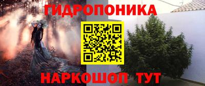 мяу мяу мука Новозыбков