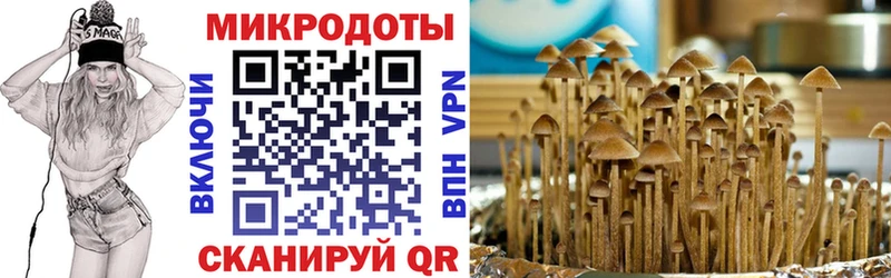 где найти наркотики  Южноуральск  мега ССЫЛКА  Псилоцибиновые грибы Magic Shrooms 